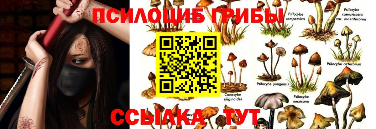 Галлюциногенные грибы мицелий  Вход с VPN  Псилоцибиновые грибы мухоморы  Благодарный 